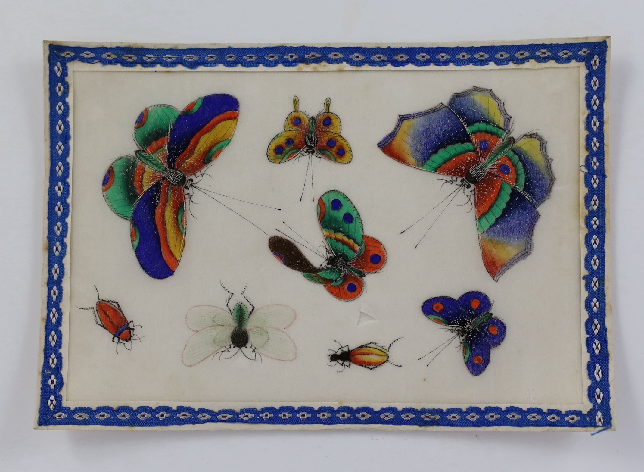 A set of twelve Chinese pith paintings of butterflies and insects, mid 19th century, total size 18cm x 12.2cm, small holes to paper